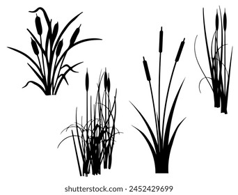 Cattail silhouette vector art white background