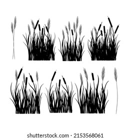 Cattail. Swamp grass. Black silhouette on a white background. Set