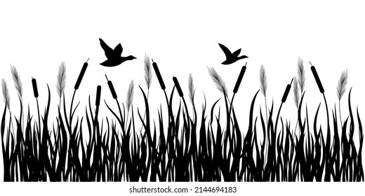 Cattail. Swamp grass. Wild ducks are flying in the sky. Black silhouette. Vector
