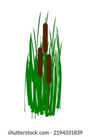Cattail vector illustration, ideal for creating images of natural wetlands.