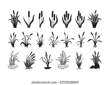 Cattail vector For Print, Cattail Clipart, Cattail vector Illustration