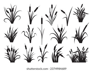 Vector cattail para impresión, clipart cattail, ilustración vectorial Cattail