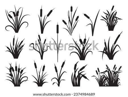 Cattail vector for print, Cattail clipart, Cattail vector illustration