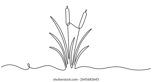 Cattail wetland plant outline, continuous one line drawing, Cattail Silhouette Vector Illustration Wetland Plant Nature Graphic Design, silhouette with cattails, vector illustration.