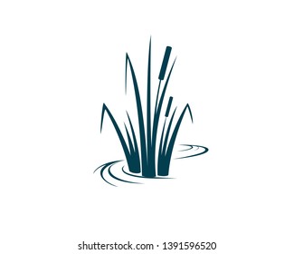 Cattail, A Wetland Plants In A Simple Line With 