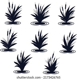 Cattails Collection Silhouettes Premium Vectors	
