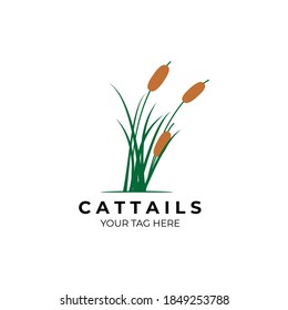 cattails logo vector illustration design