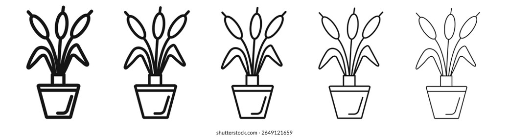 Cattails en pot icon Vector esquema conjunto ilustración signo