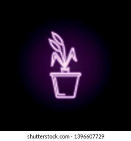 cattails in pot neon icon. Elements of flower set. Simple icon for websites, web design, mobile app, info graphics