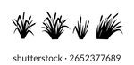 Cattails Vector Black and White Colour