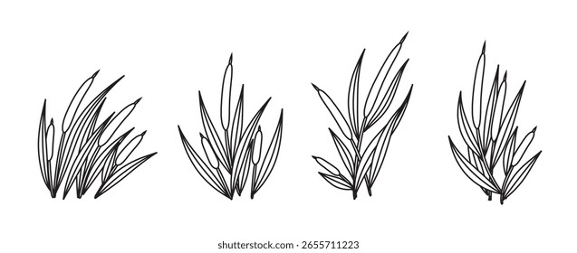 Cattails Vector Outline on Black Colour