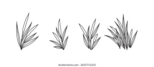 Esquema del Vector de Cattails en color negro