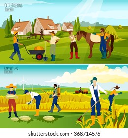 Cattle breeding for beef market and crop harvesting 2 flat horizontal banners composition abstract isolated vector illustration