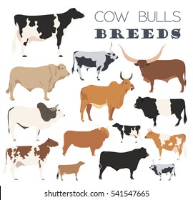 Cattle breeding farming. Cow, bulls breed icon set. Flat design. Vector illustration