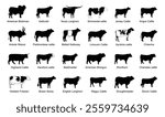 Cattle breeds silhouette set collection