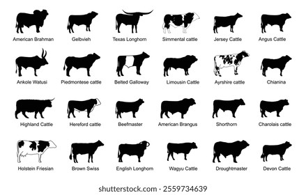 Cattle breeds silhouette set collection