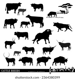 Cattle breeds silhouettes. Vector illustration.