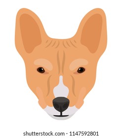 
A cattle dog breed with innocent face , pembroke welsh 
