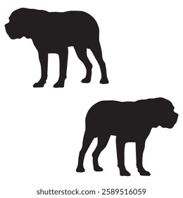 Cattle Dog Silhouette, Bull Dog illustration, Pug icon Silhouette, Dog Silhouette illustration