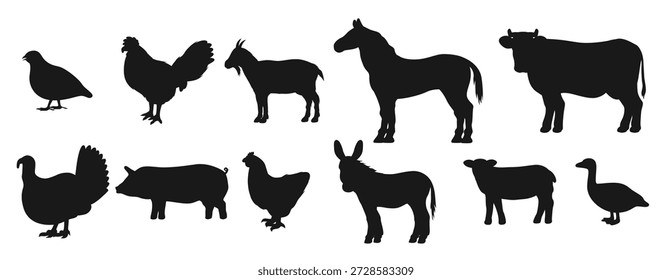 Animales y pájaros de granja de ganado, íconos de silueta negra de Vector. Ganado vacuno de granja, oveja aislada y codorniz ave, cabra y pavo, gallina gallo y ganso o pato, ternero y burro, cerdo y caballo