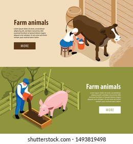 Cattle Farm Livestock Animals 2 Horizontal Isometric Web Banners With Workers Milking Cow Feeding Pig Vector Illustration 