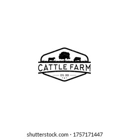 Cattle farm logo design - angus cow farm, beef butcher bbq barbecue, meat product shop organic premium quality. livestock animal logo.