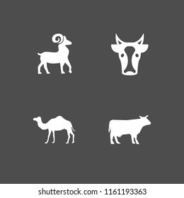 cattle icon. 4 cattle set with cow silhouette, cow, goat and camel vector icons for web and mobile app