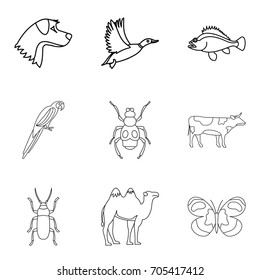 Cattle icons set. Outline set of 9 cattlevector icons for web isolated on white background