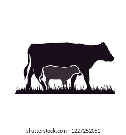 cattle logo design inspiration