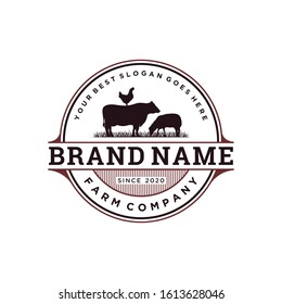 Cattle logo inspiration. Livestock or farm design template. Vector illustration 