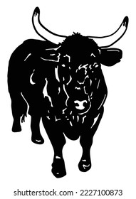 Cattle with long horn Front view. bull vector with horn silhouette 