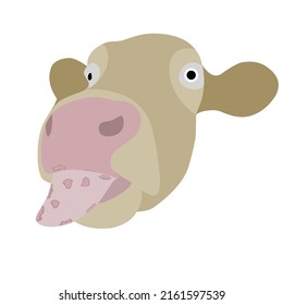 Cattle Mouth and Hoof Disease. Virus attack on cattle. Vector illustration