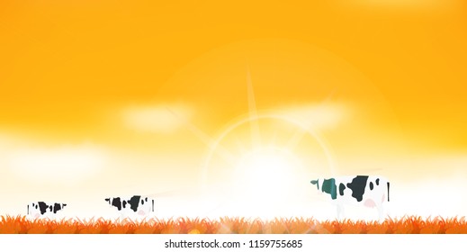 Cattle Ranch Autumn Background