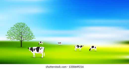 Cattle ranch grassland background