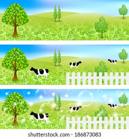 Cattle ranch landscape