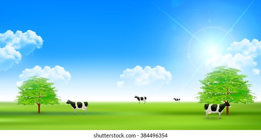 Cattle ranch landscape background