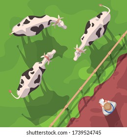 Cattle semi flat vector illustration top view. Domestic animals on ranch field. Farm worker check on cows. Agribusiness and agriculture. Farmer 2D cartoon character for commercial use