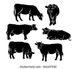 Cattle silhouette set in black color. Cows standing, lying, eating, grazing, side and front view