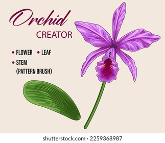 Cattleya Orchid flower set on white background. Single flower, leaf and stem. Stem is vector pattern brush. Easy to create various flowers