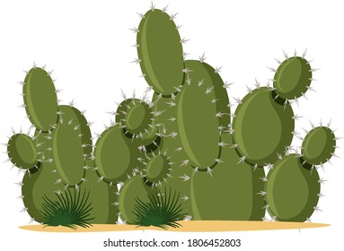 Catus plants cartoon style on white background illustration