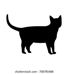 cat,vector illustration