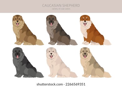 Caucasian shepherd clipart. Different poses, coat colors set.  Vector illustration