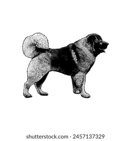 Caucasian Shepherd hand drawing vector isolated on white background.