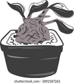 Caudex and succulent plant in grayscale vector illustration graphic style