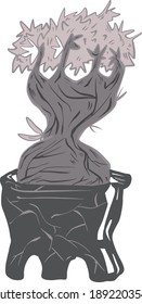 Caudex and succulent plant in grayscale vector illustration graphic style