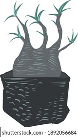 Caudex and succulent plant illustration in grayscale vector style  