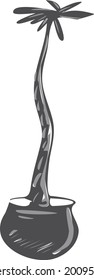 Caudex and succulent plant illustration in grayscale vector style. hand-drawn plant art.  Black and white style illustration. 