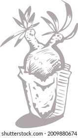 Caudex and succulent plant illustration in grayscale vector style. hand-drawn plant art.  Black and white style illustration. 