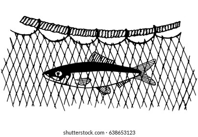 網の中で捕まった商業魚が捕まる ベクターイラスト手描き のベクター画像素材 ロイヤリティフリー