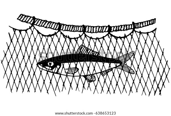 網の中で捕まった商業魚が捕まる ベクターイラスト手描き のベクター画像素材 ロイヤリティフリー
